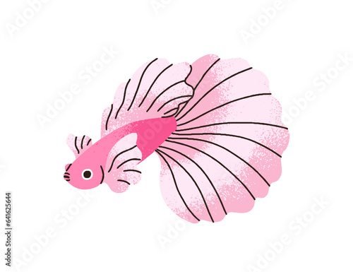 Cute exotic betta fish swimming. Tropical little small water animal with big ...