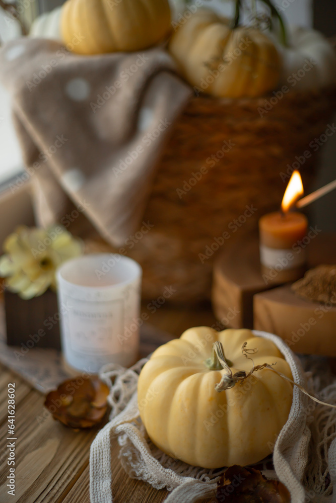 Cozy still life with pumpkin, candle and small pumpkins