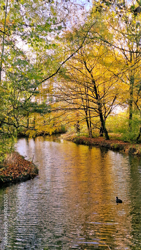 Autumn colors in a Dutch park  Alblasserdam  South Holland  Netherlands