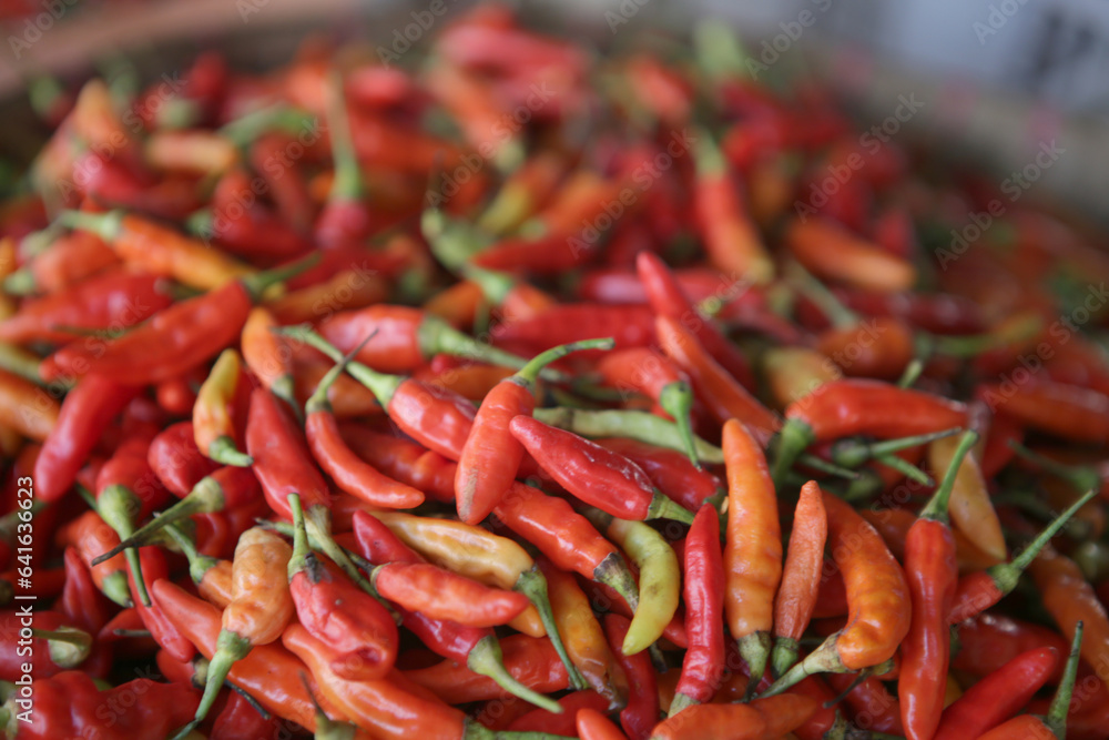 spicy red hot chili peppers in a market