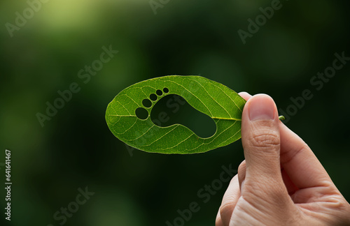 Hand of human is holding green leaf with carbon footprint, renewable energy carbon and business goverment concept. photo