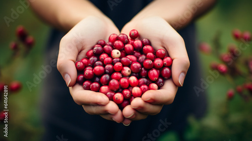 Close-up partial view of a farmer holding organic cranberry fruit. Generative AI. 