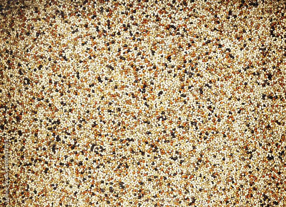 Mixed seed for feed bird as nature food background - Top view of white , brown and black grains. Mixed seed for feed bird as nature food background - Top view of white , brown and black grains.