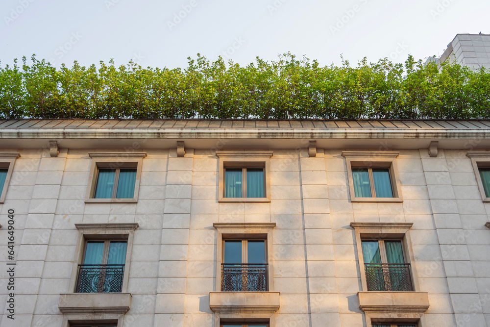 Green bushes with leaves on the roof of an old monumental historical building, view upstairs to the facade with windows.