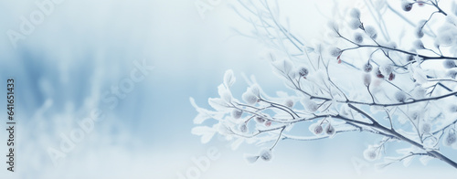 christmas card. tree branches covered with frost on a blurred blue background, legal AI