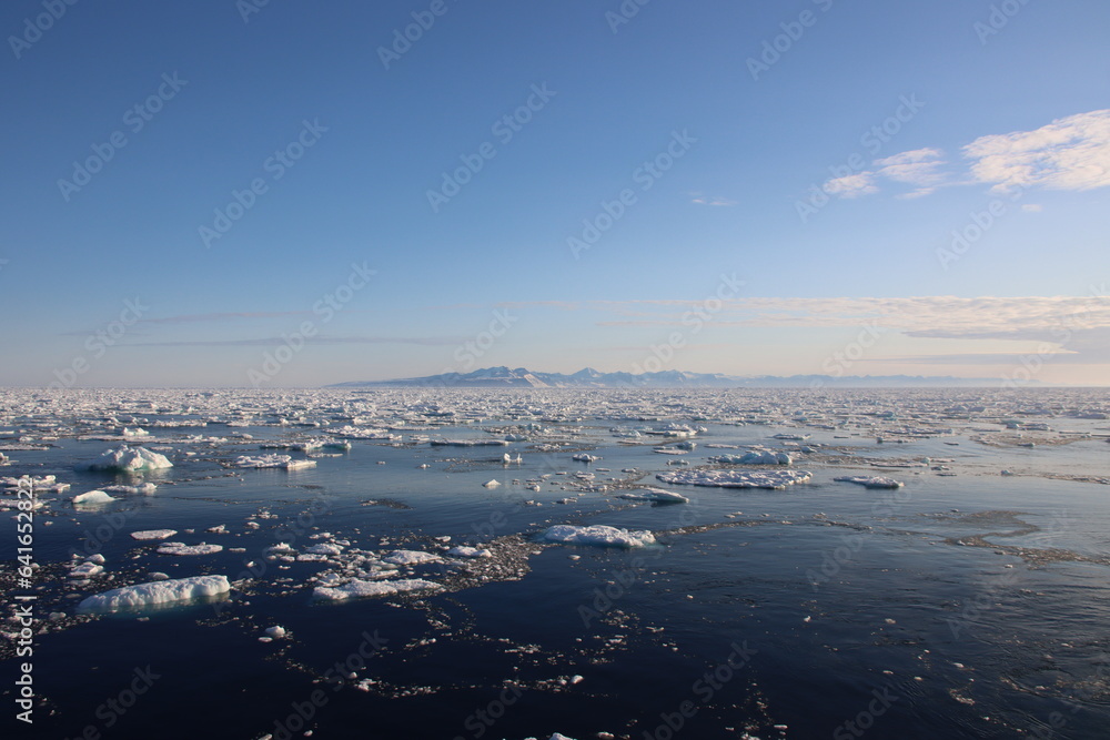 Pack ice in the Arctic Ocean off the east coast of Greenland near the entrance to Scoresby Sound.