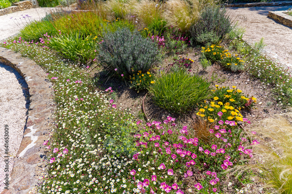 Bachaga Boualam public park with flower bed at viewpoint of village of Giens on a sunny late spring day. Photo taken June 8th, 2023, Giens, Hyères, France. Bachaga Boualam public park with flower bed at viewpoint of village of Giens on a sunny late spring day. Photo taken June 8th, 2023, Giens, Hyères, France.