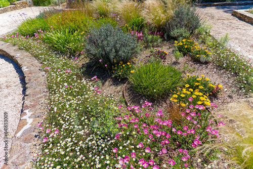 Bachaga Boualam public park with flower bed at viewpoint of village of Giens on a sunny late spring day. Photo taken June 8th, 2023, Giens, Hyères, France.