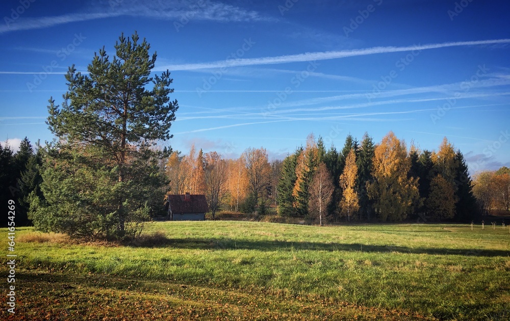 Autumn landscape with trees and sky in Gauja, Latvia, October 2018