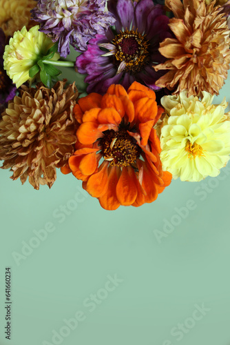 multicolored dry summer flowers on mint colored background