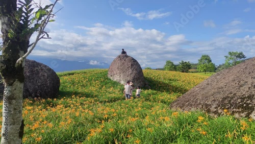 Landscape View Of The Beautiful Tiger Lilies (Daylily) Garden Blooming On The Hill Of Chi Ke Shan (Chike Shan), Yuli, Hualien, Taiwan photo