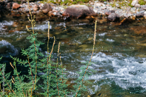 water flowing in the mountains