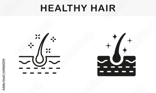 Healthy Human Follicle Shine Line and Silhouette Black Icon Set. Glossy Hair Follicle Pictogram. Hair Shiny with Keratin Effect Symbol Collection. Isolated Vector Illustration