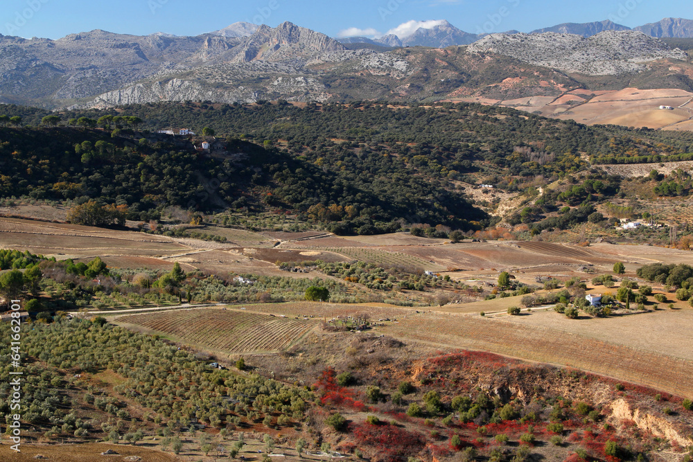 Landscape with a panoramic view of the valley and mountains in the background in the city of Ronda, Andalusia region, southern Spain