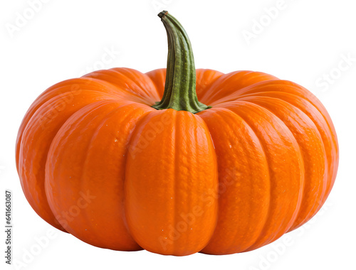 pumpkin isolated on transparent background cutout - png - mockup for design - image compositing footage - alpha channel - Thanksgiving