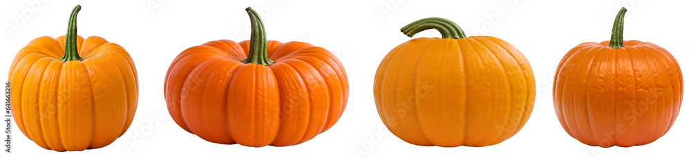 set of pumpkins isolated on transparent background cutout - png - mockup for design - image compositing footage - alpha channel - Thanksgiving set of pumpkins isolated on transparent background cutout - png - mockup for design - image compositing footage - alpha channel - Thanksgiving