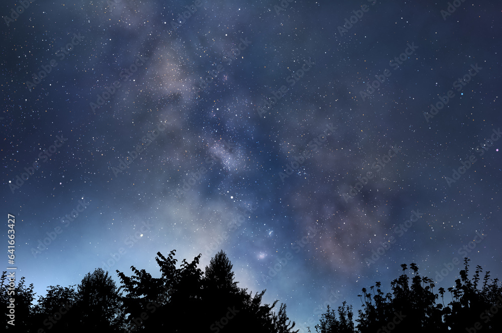 Milky Way above the trees