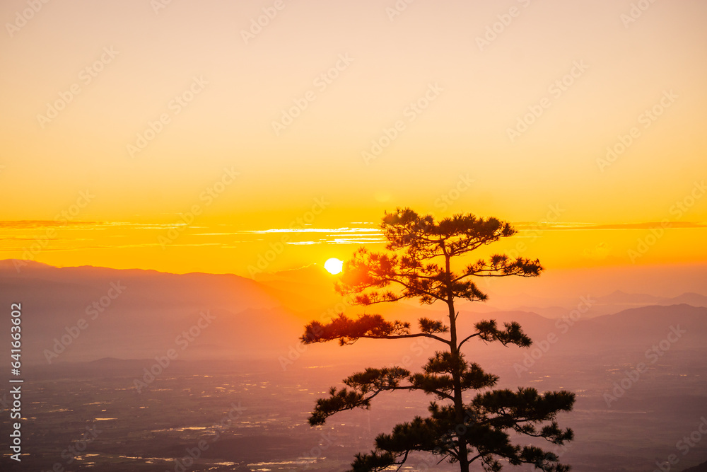 A brilliant dawn with magical bright sunlight in the suburbs of Da Lat, Don Duong, Lam Dong, Vietnam