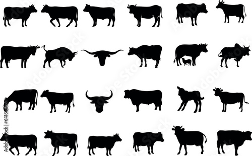 Vászonkép Cow silhouettes vector illustration