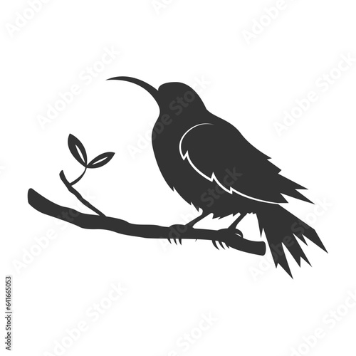 bird logo vector illustration design © azam