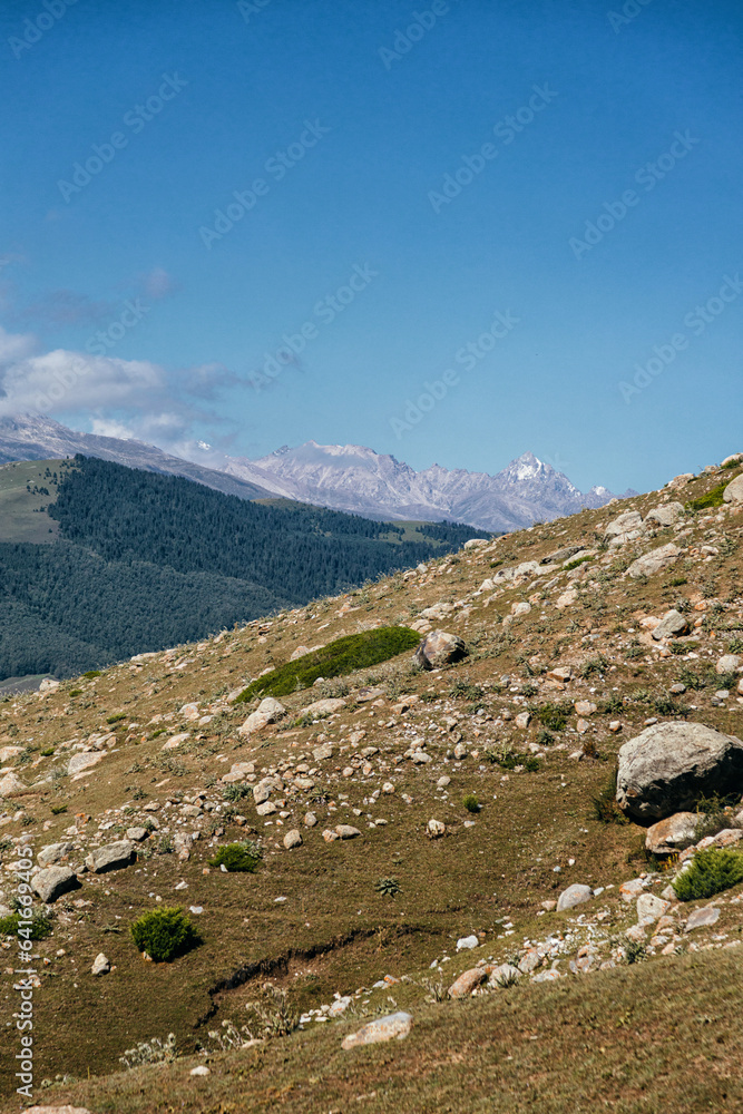 Fototapeta premium landscape in the mountains