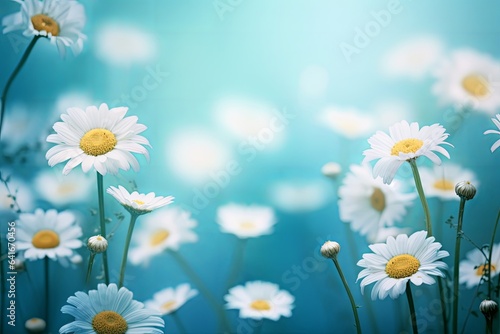 Beautiful floral natural blue turquoise background with a frame of white daisies using a soft blur filter  Generative AI