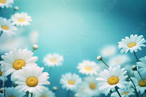 Beautiful floral natural blue turquoise background with a frame of white daisies using a soft blur filter  Generative AI