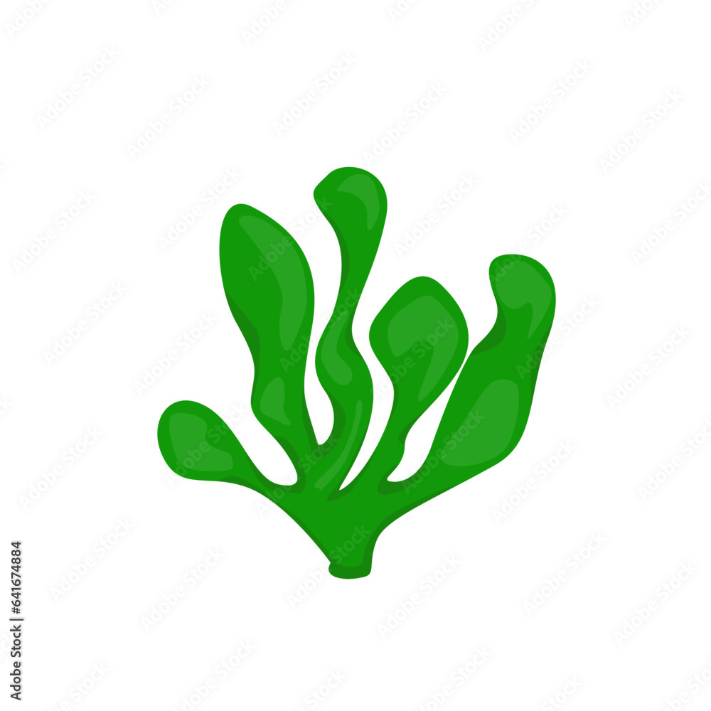 Green seaweed cartoon in illustration Green seaweed cartoon in illustration