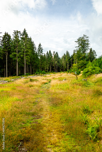 Sommerwanderung auf dem Höhenweg des Thüringer Waldes - Thüringen - Deutschland