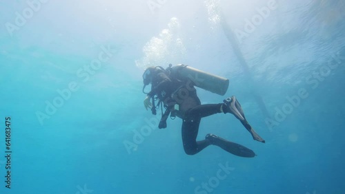 Wallpaper Mural Cinematic slow motion shot of a scuba diver moving gracefully through the water in clear waters, 120FPS, 4K, Slomo Torontodigital.ca