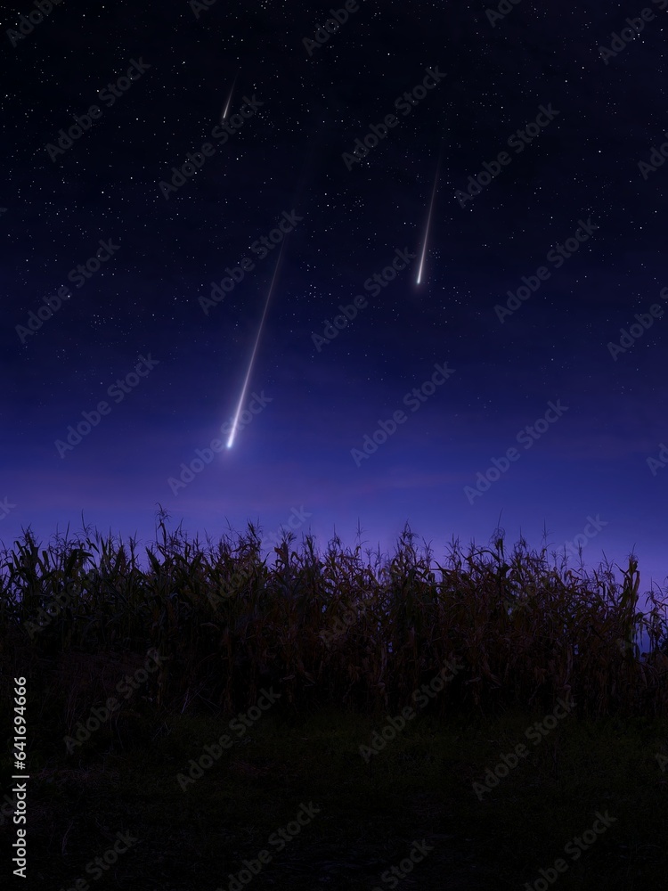 Meteors in the night sky over a cornfield. Landscape with falling meteorites. Beautiful shooting stars.
