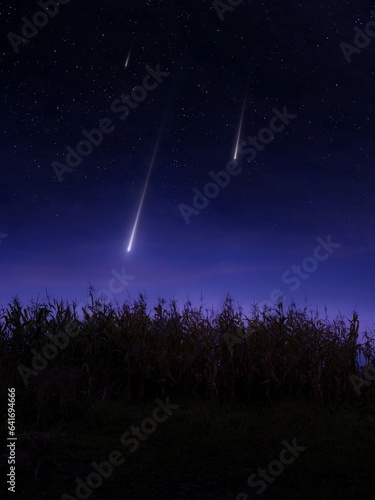 Meteors in the night sky over a cornfield. Landscape with falling meteorites. Beautiful shooting stars.
