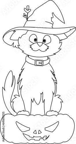 A pretty cat wearing a witch's hat is sitting on a pumpkin, patiently waiting for Halloween.Linear style.