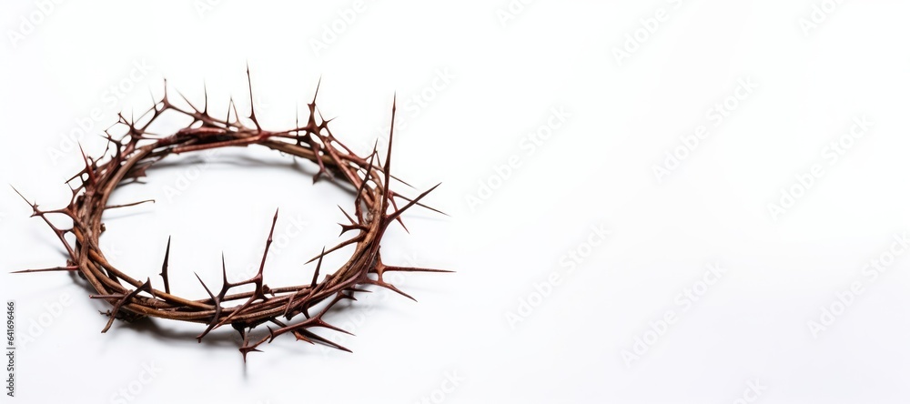 A crown of thorns on a white background - Easter. religion. A crown of thorns on a white background - Easter. religion.