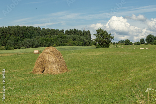 Picturesque hay runoff on a mown green field against a blue sky backgfound. High quality photo photo