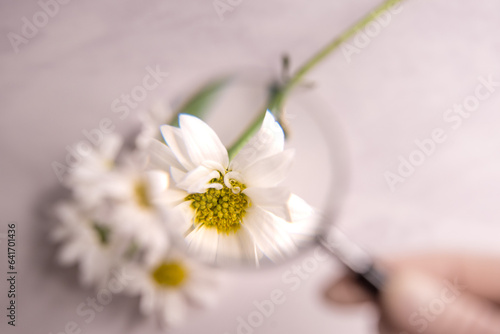 salud facial, botox, estetica, piel, skin, dermatologia, medicina estética