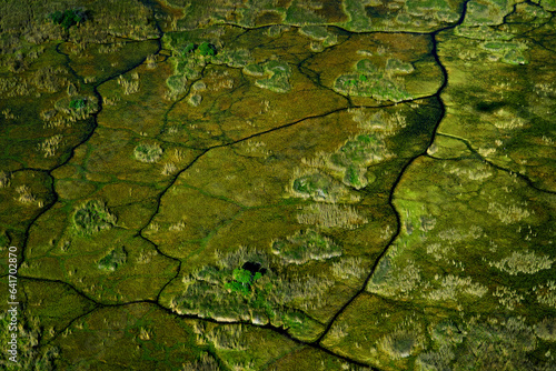 Africa aerial landscape, green river, Okavango delta in Botswana. Lakes and rivers, view from airplane. Forest. vegetation in South Africa. Trees with water in rainy wet season. Travel in Botswana. photo