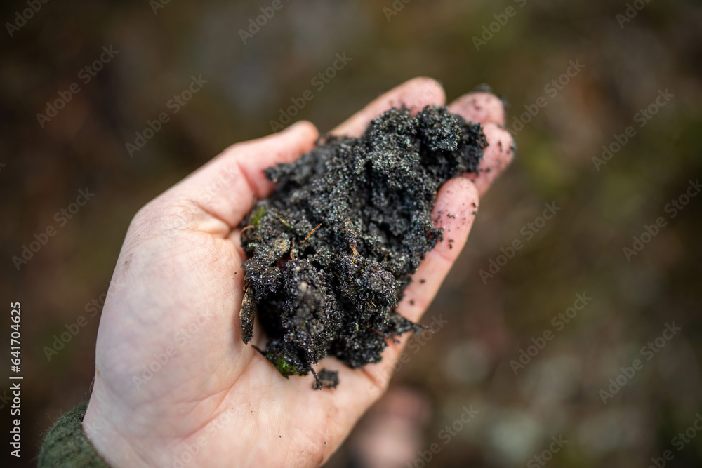  farmer holding soil looking at soil carbon in the america