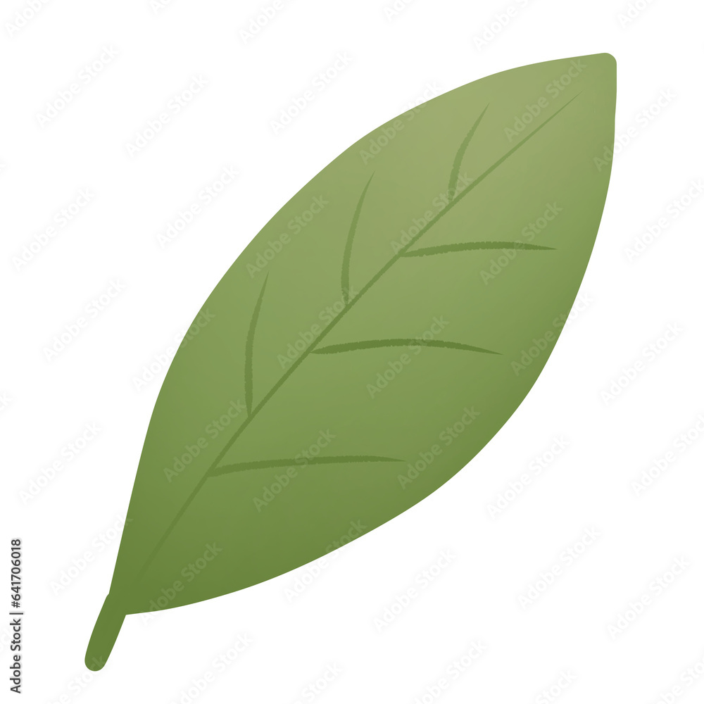 Fototapeta premium Illustration of a green leaf