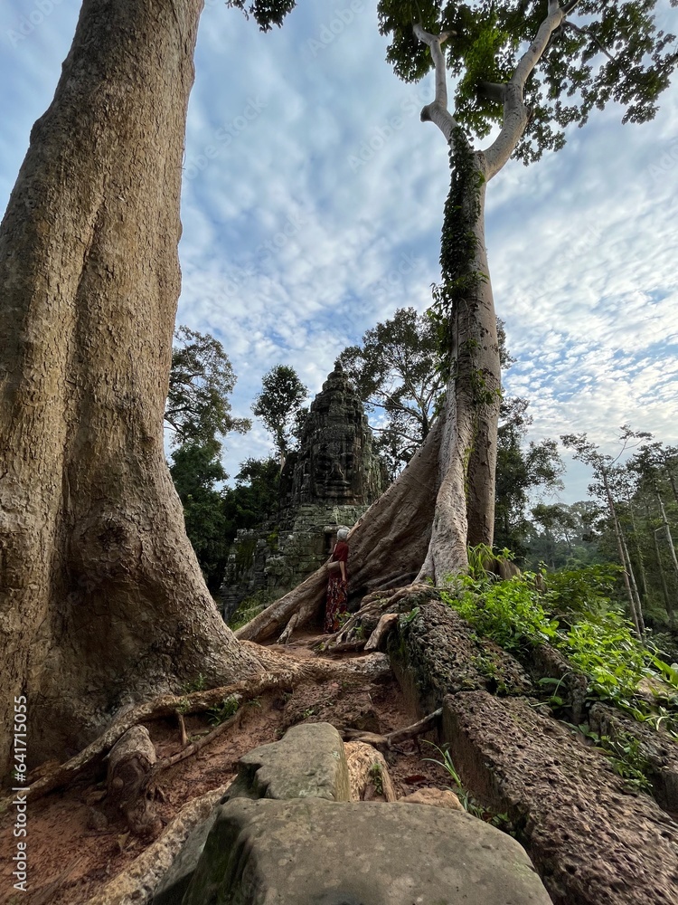 Angkor Thom, Angkor ruins, Siem Reap, Cambodia Angkor Thom, Angkor ruins, Siem Reap, Cambodia