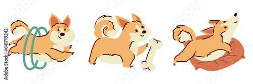Welsh corgi dogs . Hand drawn style cartoon characters . White isolate background . Vector .