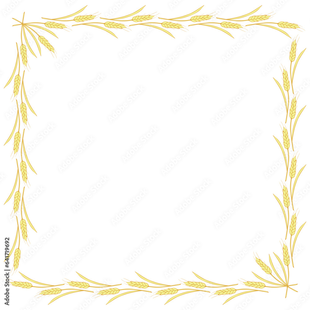 Square frame made of golden wheat or rye ears. Vector autumn border, backdrop hand drawn in Doodle flat style, isolated on white background Square frame made of golden wheat or rye ears. Vector autumn border, backdrop hand drawn in Doodle flat style, isolated on white background