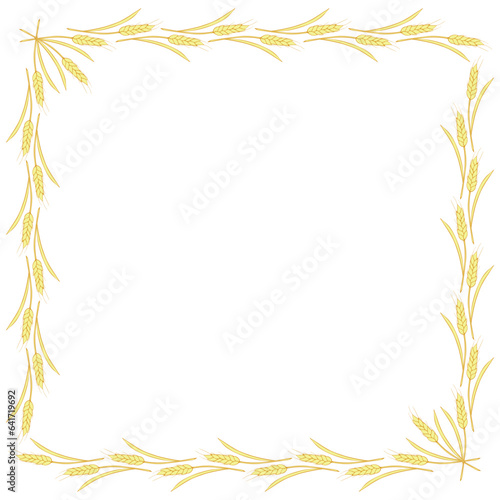 Square frame made of golden wheat or rye ears. Vector autumn border  backdrop hand drawn in Doodle flat style  isolated on white background