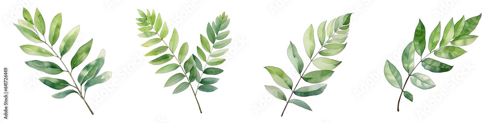 Curry leaf Botanical View On A Clean White Background Soft Watercolour Transparent Background