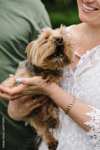 Little dog with owner spend a day at the park playing and having fun closeup. Yorkshire terrier. A couple walking with the dog. Woman hugging pet. Dog walking with owner outdoors.