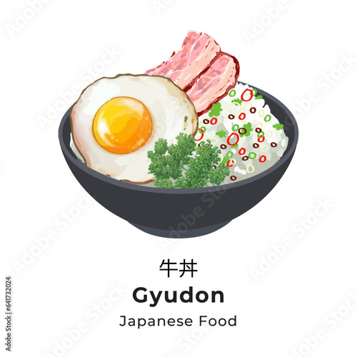 Gyudon. Japanese beef, rice and fried egg bowl . Vector illustration