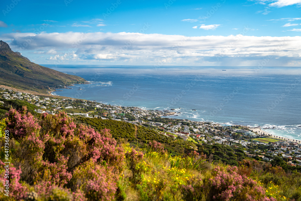 Obraz premium View of Camps bay from Kloof Corner hike at sunset in Cape Town, Western Cape, South Africa