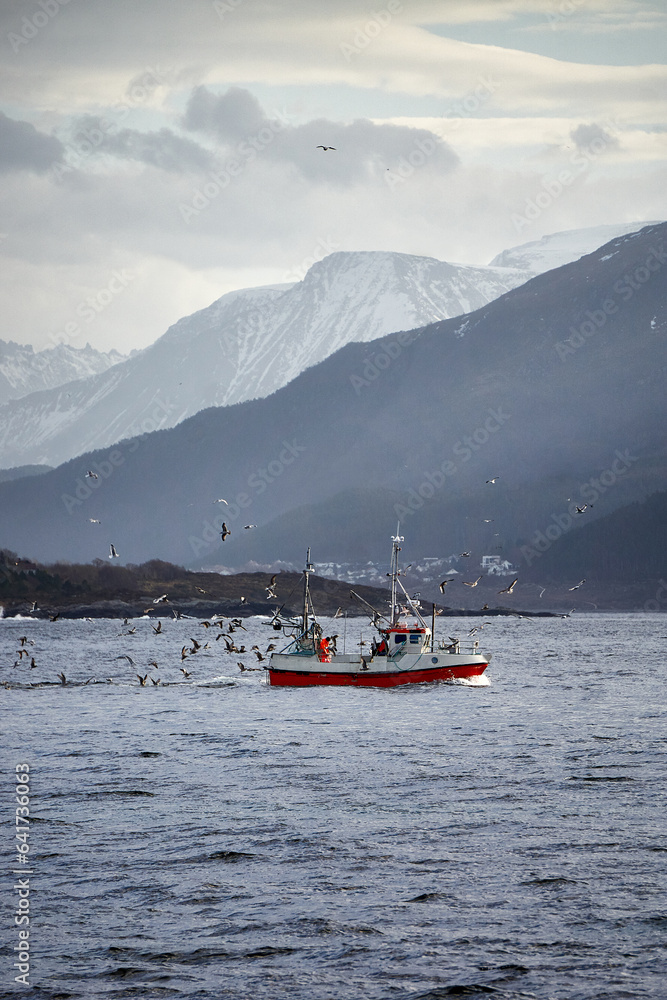 Fishing boat with sea gulls as seen from Godøy, Ålesund, Norway