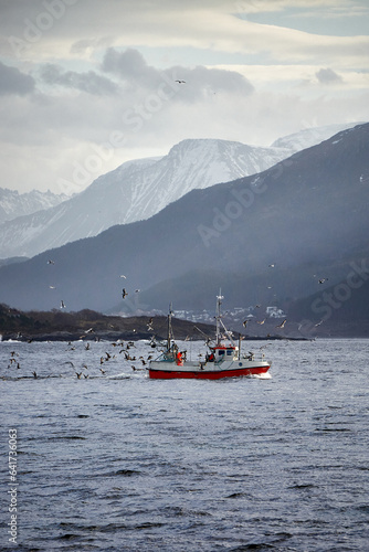 Fishing boat with sea gulls as seen from Godøy, Ålesund, Norway