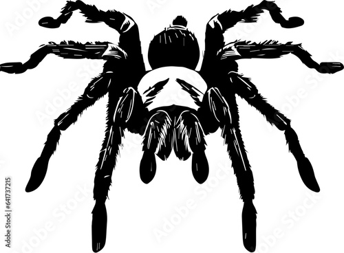 Chilean Rose Tarantula icon 3